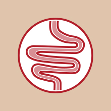 crocchette cane; cibo per cane; mini taglia