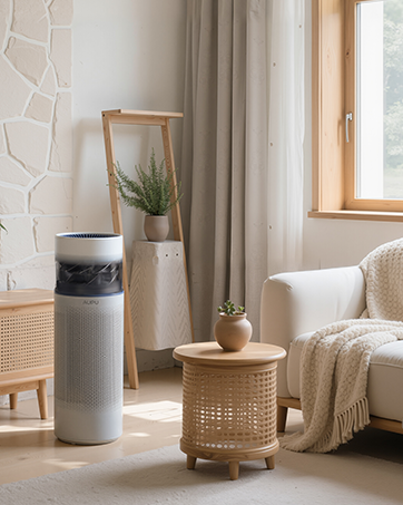 Air Purifier for living room