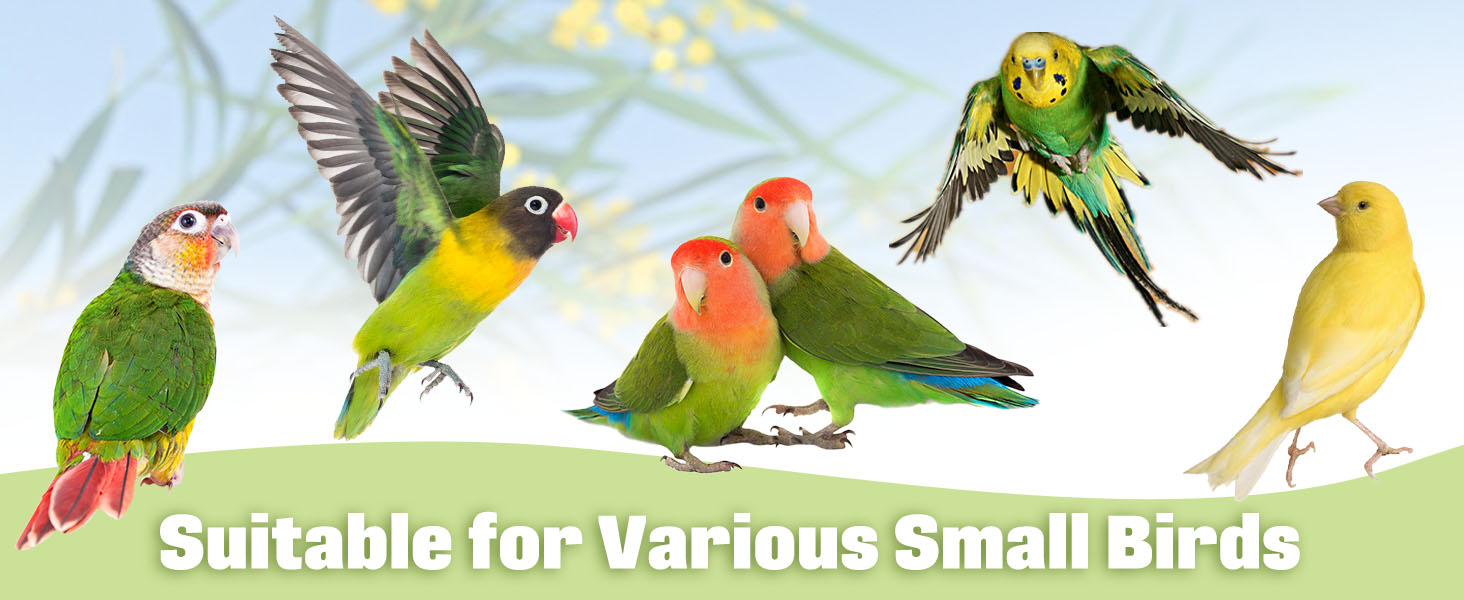 Size 12.5x4 inches for parrot conures, budgerigar, cockatoo, parakeet, lovebirds, and othe small bi