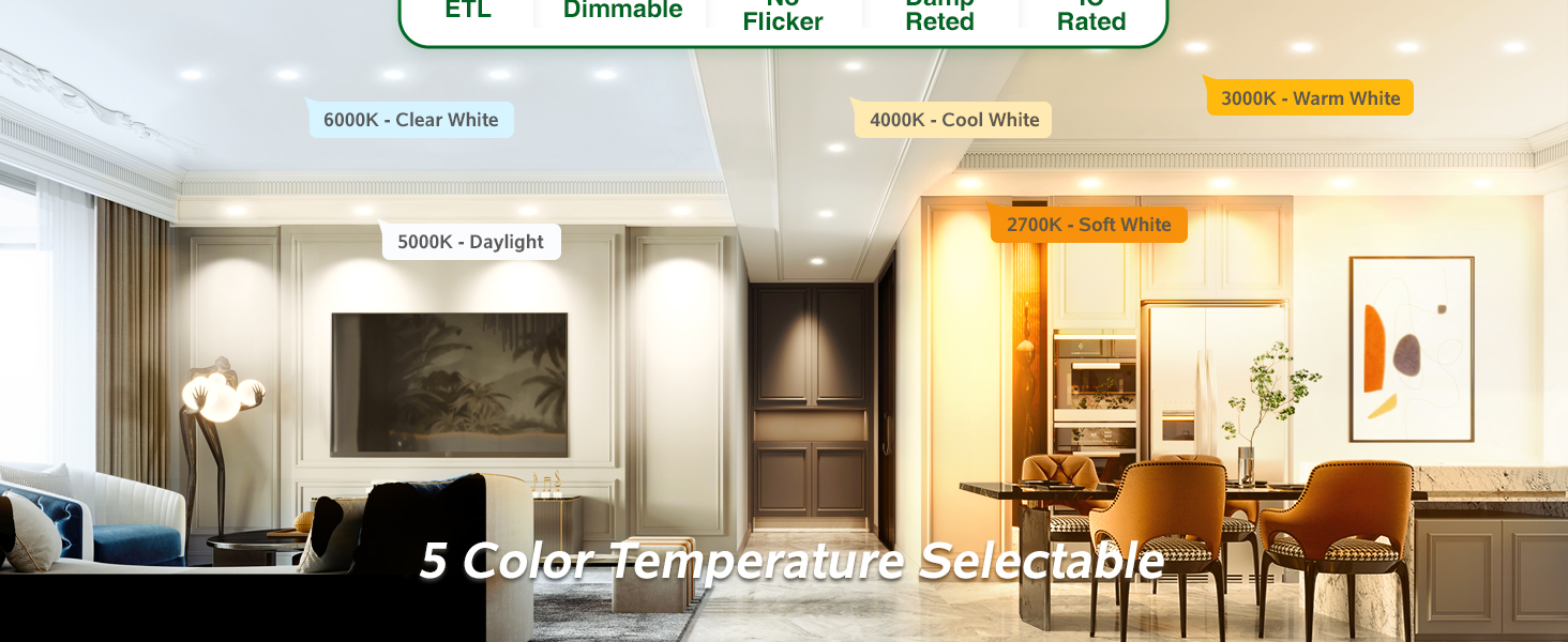 4 inch led recessed light