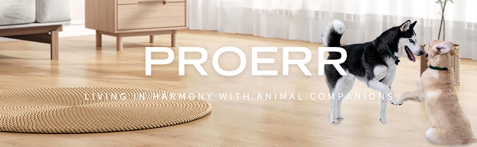 single dog bowl stand