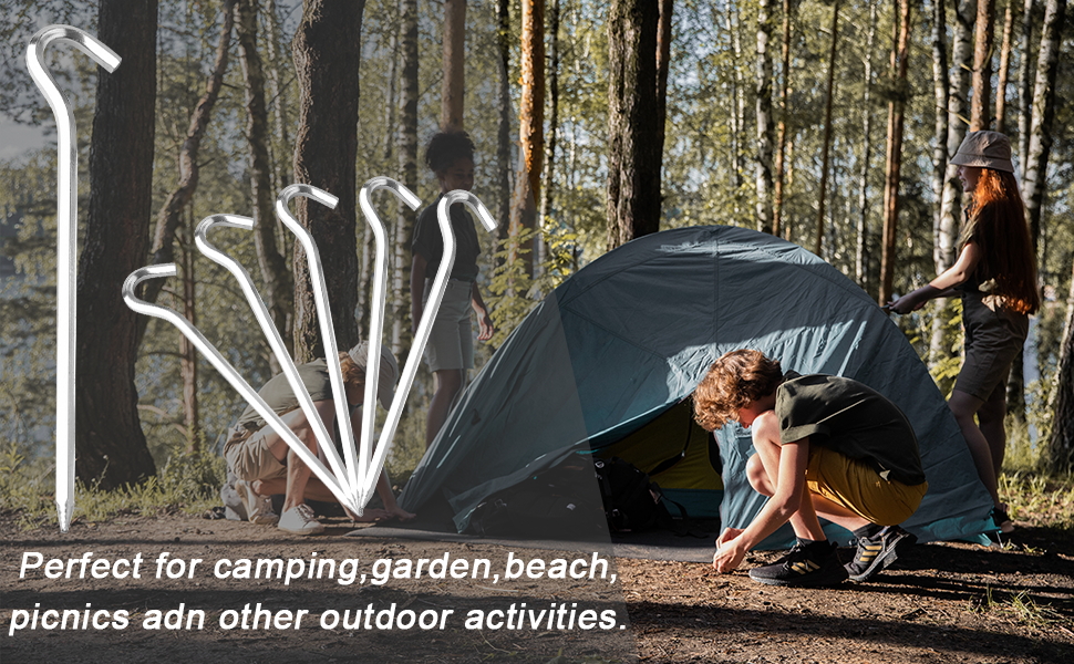 Dantolo 16pcs Sardines de Fixation de Tente de 18 cm, Sardines Camping