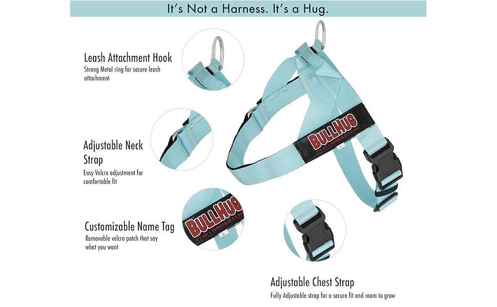 harness info 2