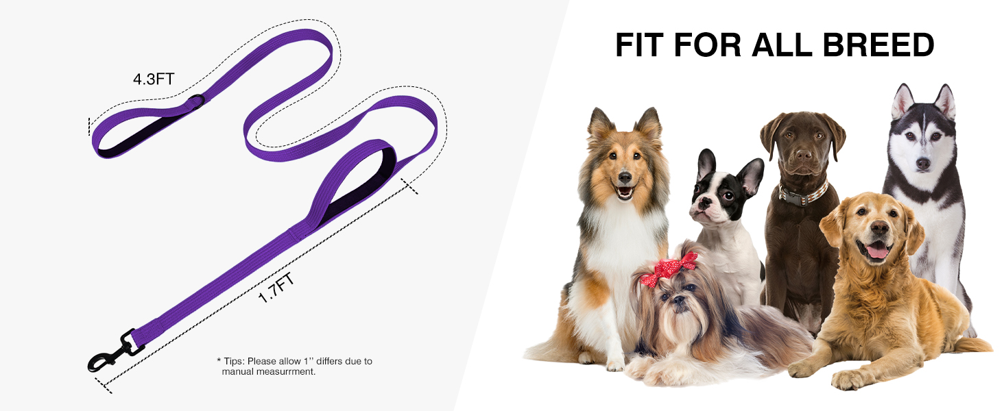 6FT Dog Leash for Large Medium Small Dogs
