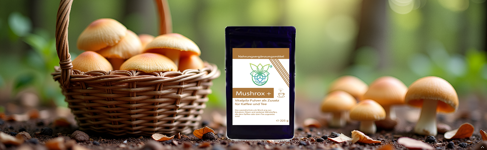 Frische Champignons im Weidenkorb mit digitalem Gerät zur Anzeige von Produktinformationen, eingebettet in eine natürliche Umgebung im Freien mit grünem Laubhintergrund.