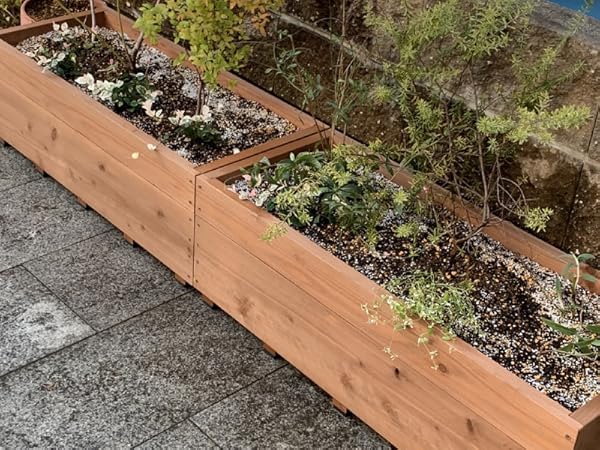 Amazon.co.jp: WOODPRO スクエア プランター 長方形 幅595mm×奥行230mm