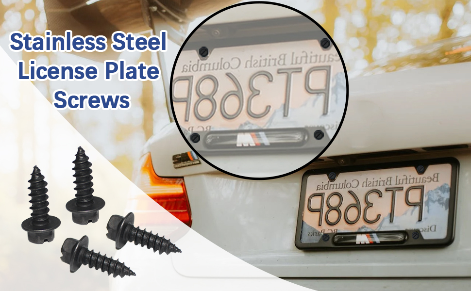 venveal License Plate Screw Kit,Black Stainless Steel