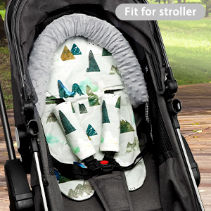 baby carseat head support