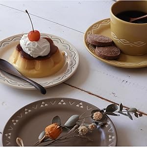 Amazon｜山加商店 皿 小皿 電子レンジ対応 食洗器対応 16cm 5枚