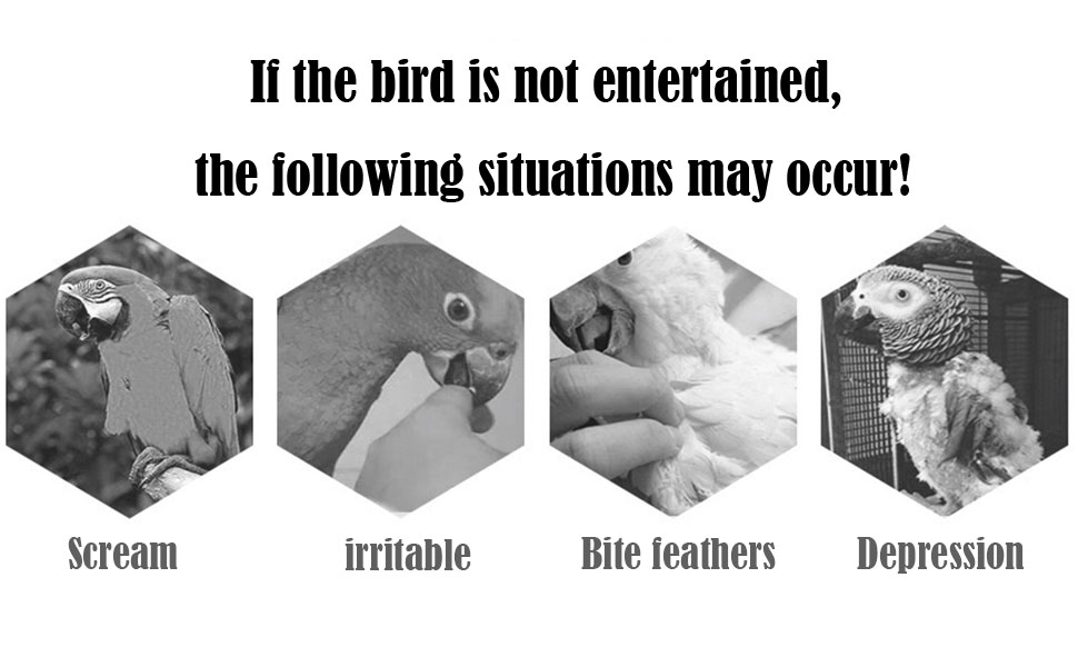bird chew toy
