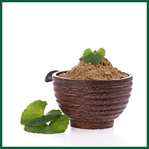 Gotu Kola Powder