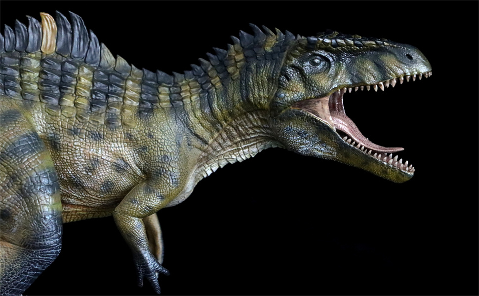 Amazon.com: Nanmu Giganotosaurus 2.0 The King of The Border