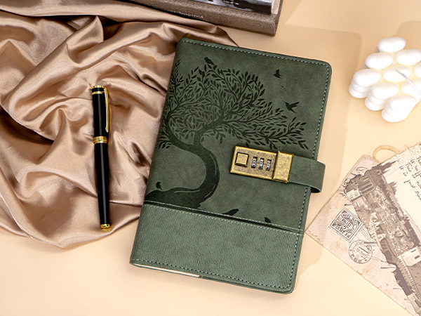Amazon.com : MINICAGIE Vintage Diary with Lock for Women