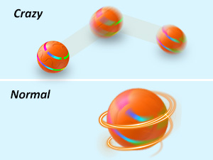 dog ball toy