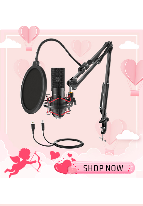 gamer microphone for pc