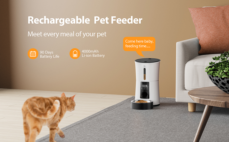 Petory Automatic Cat Feeders 4L Timed Cat Feeders for
