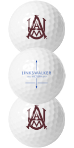 ProVictory OPT Golf Ball Example