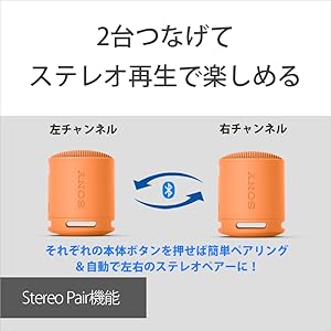 Stereo Pair