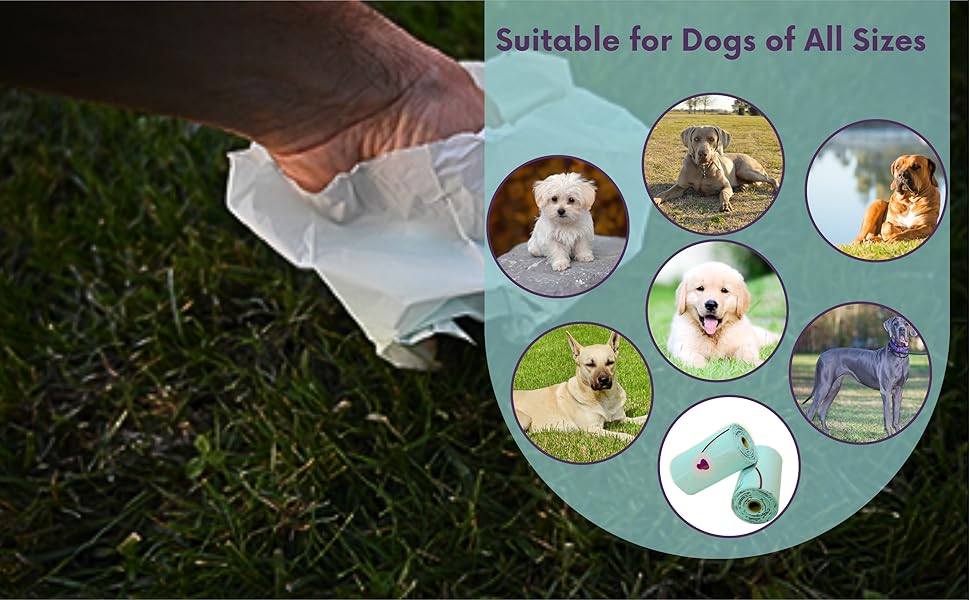 Pet Waste Bags