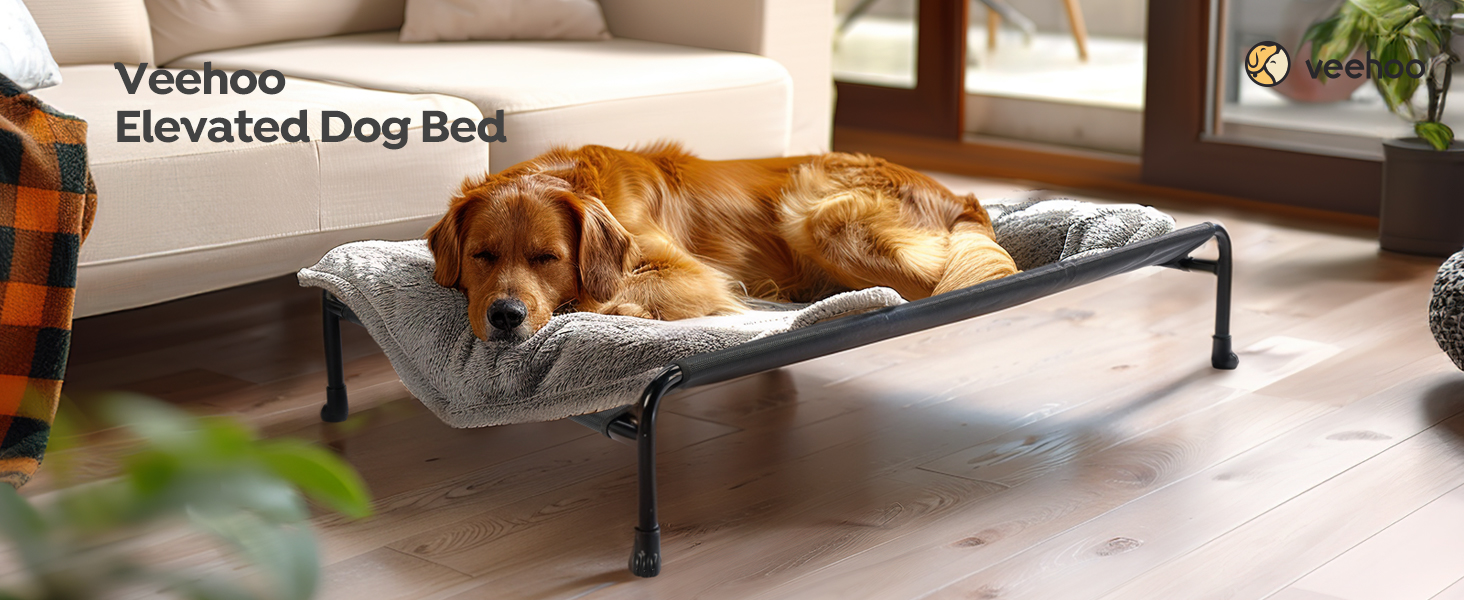 elevated dog bed