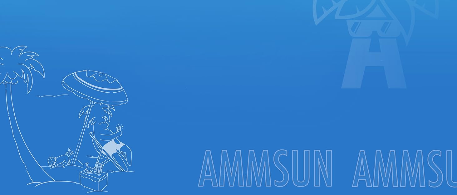AMMSUN BRAND STORY LOGO