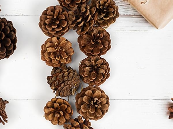 Natural PineCones
