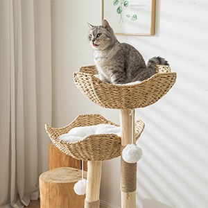cat tower