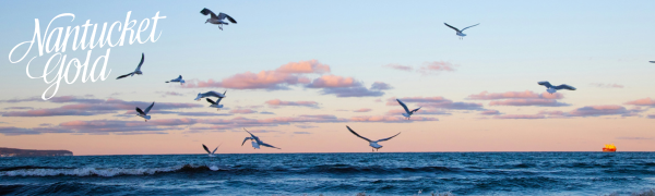 Nantucket Gold logo on image of ocean waves and seagulls