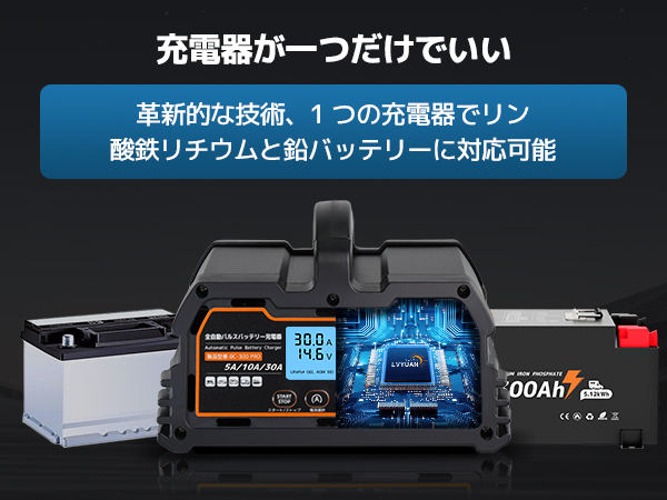 リョクエン（LVYUAN）【正規品】 全自動パルスバッテリー充電器　定格30A 61evxXNhGtL._AC_UL210_SR210,