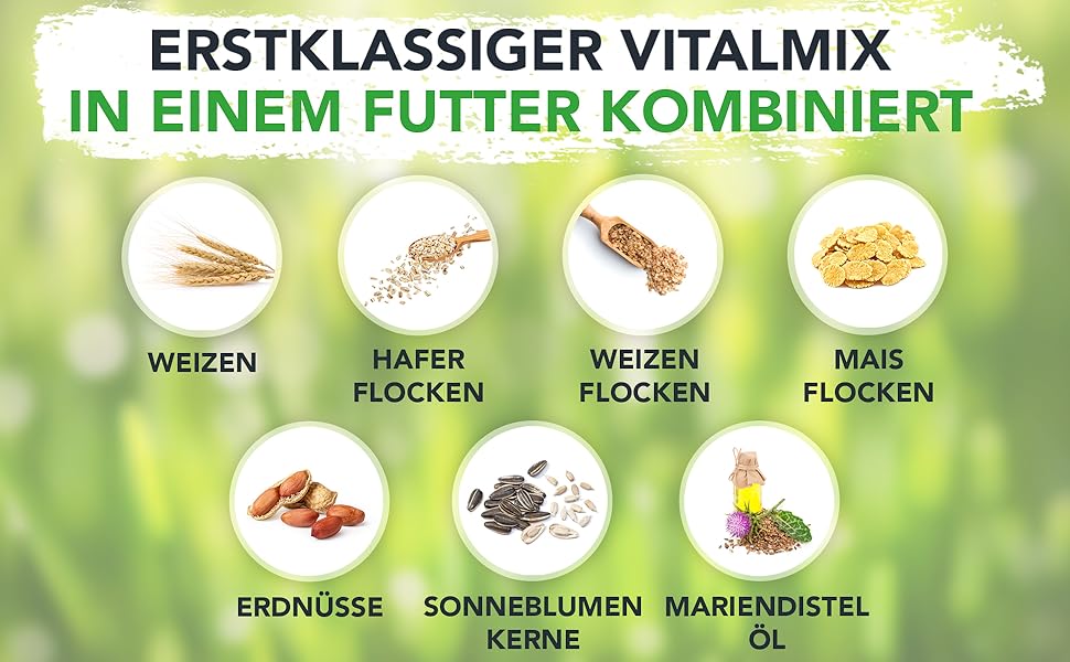 Infografik mit Inhaltsstoffen einer Vitalfuttermischung. Enthält Weizen, Hafer, Cornflakes, Erdnüsse, Sonnenblumenkerne und Distelöl.