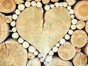 centerpiece vases for table