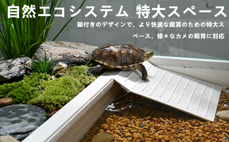 【みどりがめ】 大特価】亀の水槽両生類カメの楽園飼育ケースボックスタートル