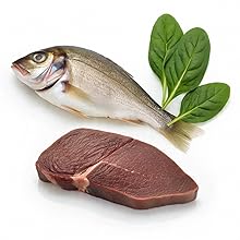 CoQ10 for Heart & Cognitive Support