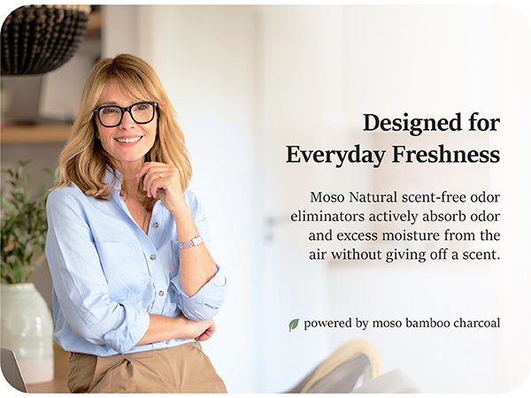 closet freshener non toxic car air fresheners cigarette smoke odor removal activated charcoal