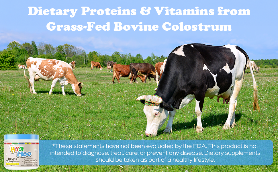 Dietary Proteins & Vitamins from Grass-Fed Bovine Colostrum