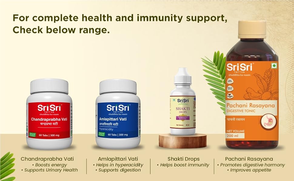 Large manufacture image 6