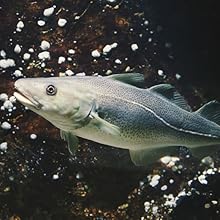 Small manufacture image 6