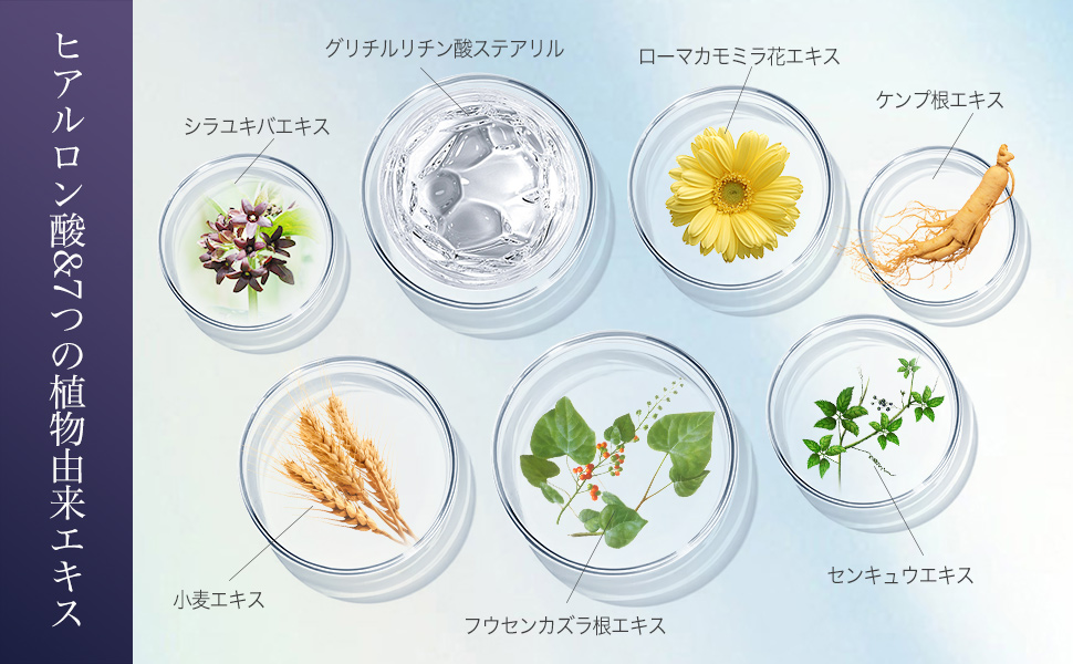 【新品】美容液凝縮目元パック50枚入り4箱set★目元ジェルパック Amazon.co.jp: 目元パックシート 14セット 寝ながら美容の保湿