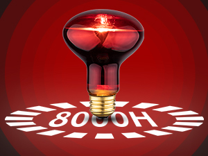 uvb bulbs for bearded dragon