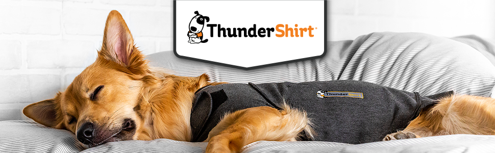 ThunderShirt