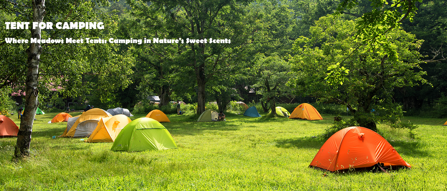 camping