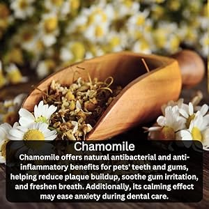 Antifungal Immune Calm Protective Disinfectant Nontoxic Resistant Comforting Reinforced Viral Relief