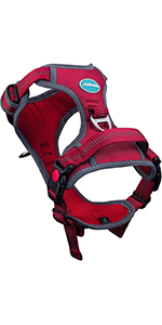 Dog Harness 2