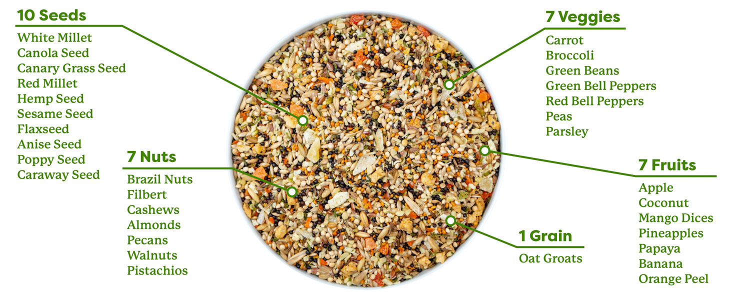 parakeet food bird food nutrition natural ingredients perico comida natural semillas diet seeds