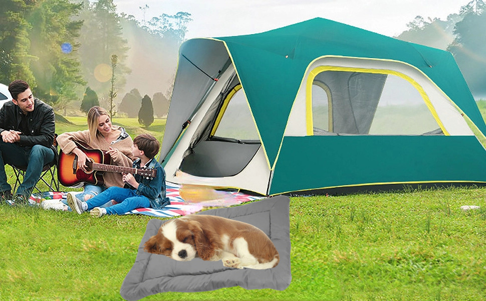 Green and yellow instant camping tent set up in a grassy area. People sit nearby with a guitar, while a dog rests on a gray mat in the foreground.