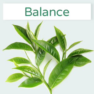 Green Tea Mask Stick