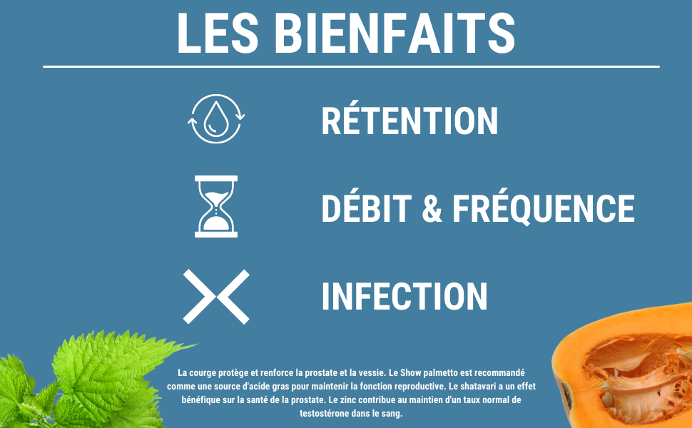 FORMULE PROSTATE Courge, Saw Palmetto, Ortie, Shatavari Rétention
