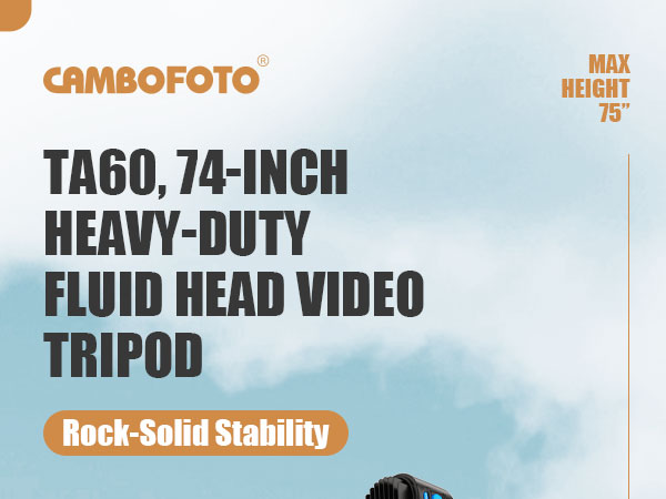 liberta.officialトリポッドレギュラー mqdefault.jpg