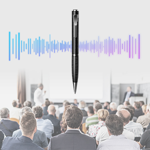 Digital Voice Recorder