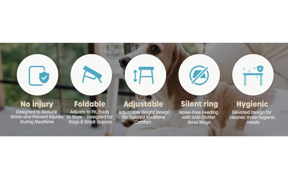 safe foldable adjustable hygienic silent oz capacity stainless steel slow feeder bowl